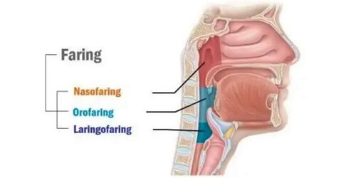 Kanker Nasofaring