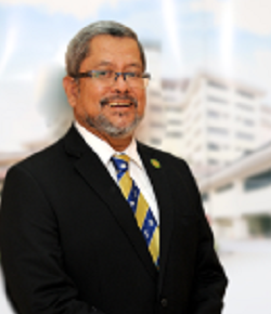 Prof. Datuk Dr. Ismail Sagap