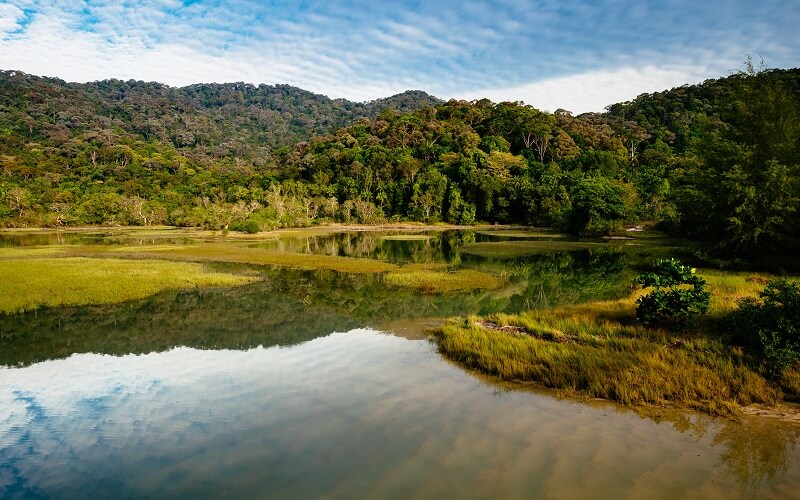 Penang National Park