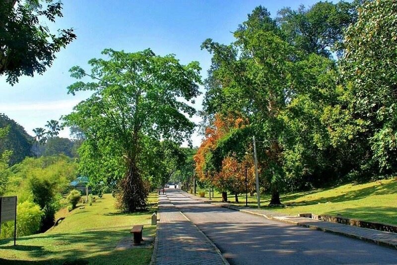 Botanical Garden Penang